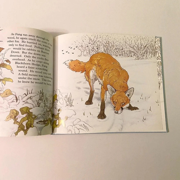Vintage 1996 Fang The Story of a Fox Book Tessa Potter and Ken Lilly - Picture 13 of 16